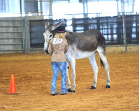 Showmanship: All (Saturday)