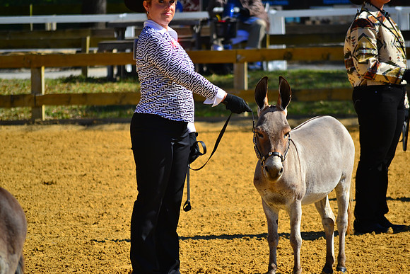 DSC_0983