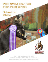 2015 NMDA Year EndHi Point JennetSchmitt'sChloe