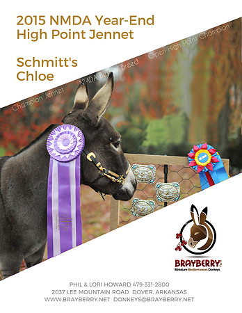 2015 NMDA Year EndHi Point JennetSchmitt'sChloe
