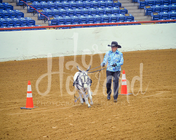 LHP_5978.jpg