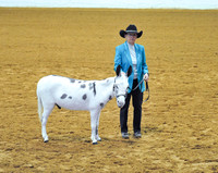 LHP_6104.jpg