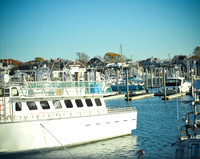 LHP_5852.jpg