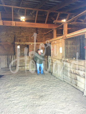 barn.jpg