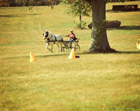 LHP_5674-Edit.jpg