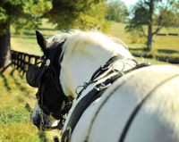 LHP_5690-Edit.jpg
